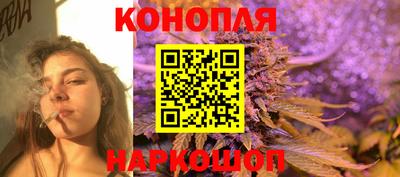 скорость Гатчина