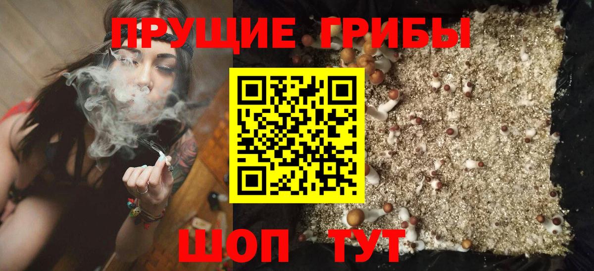 Элиста  Псилоцибиновые грибы мицелий  Вход с VPN 