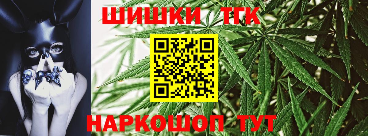 Конопля сатива Элиста
